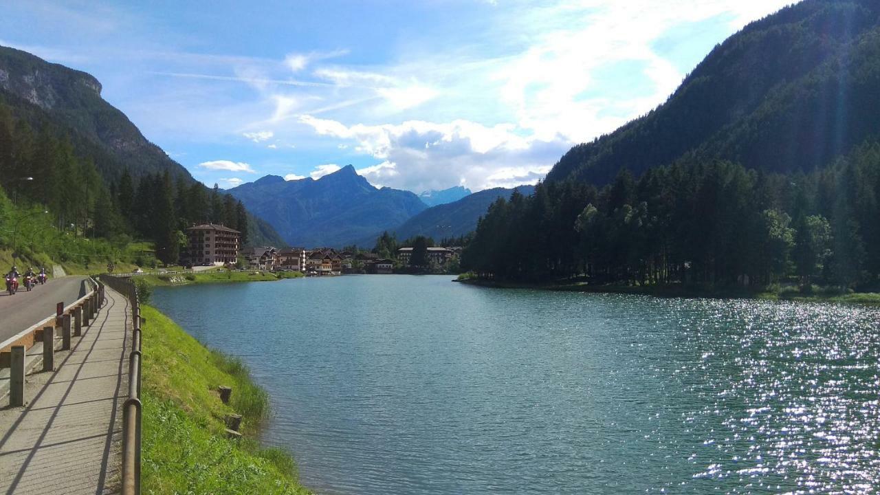 Dolomites Seasons Apartment Alleghe Bagian luar foto